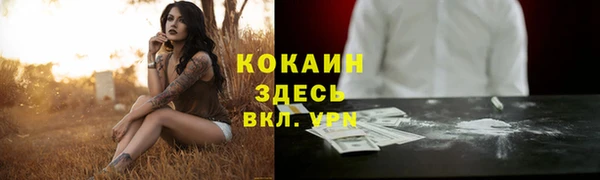 дживик Богородск