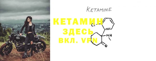 PSILOCYBIN Богородицк