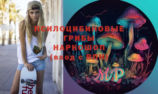 винт Богданович