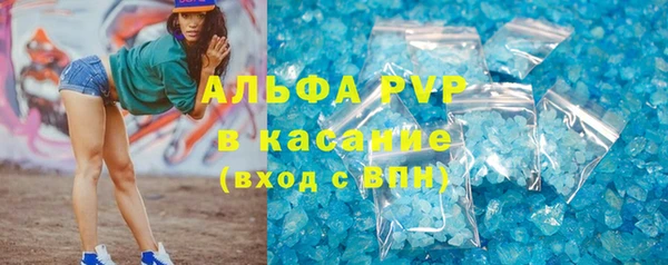 PSILOCYBIN Богородицк