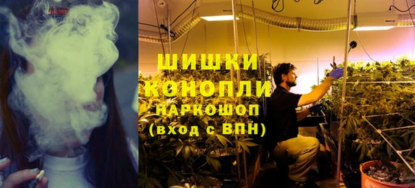 винт Богданович